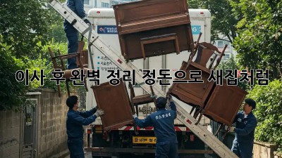 이사 후, 완벽 정리 정돈으로 새집처럼! ✨